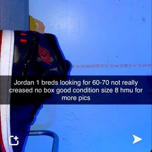 Jordan 1s breds